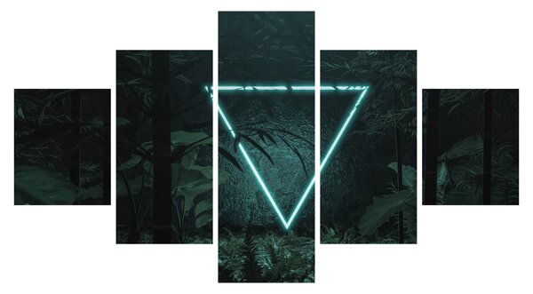 Obraz - Neonowy trójkąt w dżungli (125x70 cm)