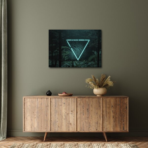 Obraz - Neonowy trójkąt w dżungli (70x50 cm)