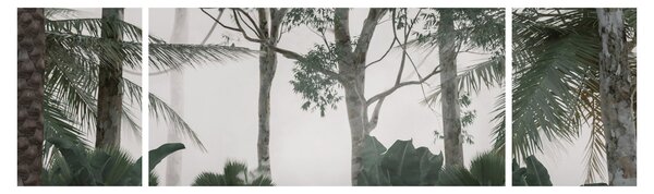 Obraz - dżungla w porannej mgle (170x50 cm)