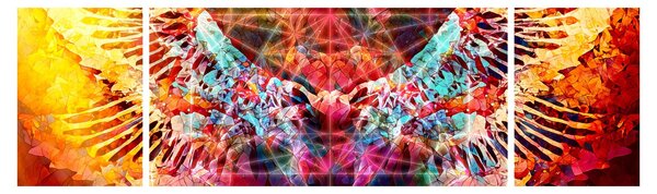 Obraz - Merkaba ze skrzydłami, abstrakcja (170x50 cm)