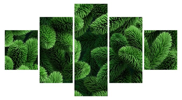 Obraz - Gałązki drzew iglastych (125x70 cm)