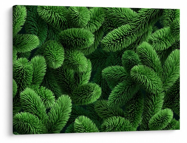 Obraz - Gałązki drzew iglastych (70x50 cm)