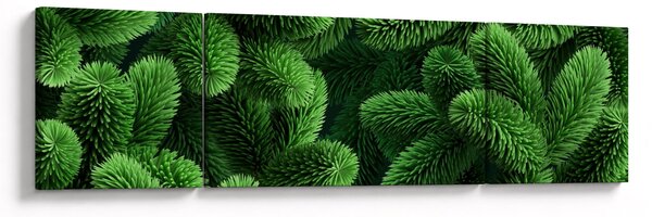 Obraz - Gałązki drzew iglastych (170x50 cm)