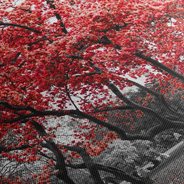 Obraz - Czerwone drzewa, Central Park, New York (170x50 cm)