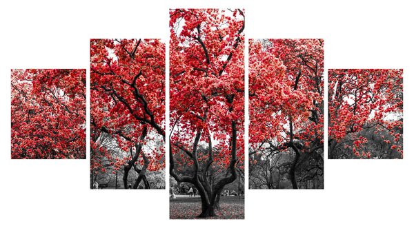 Obraz - Czerwone drzewa, Central Park, New York (125x70 cm)