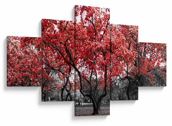 Obraz - Czerwone drzewa, Central Park, New York (125x70 cm)