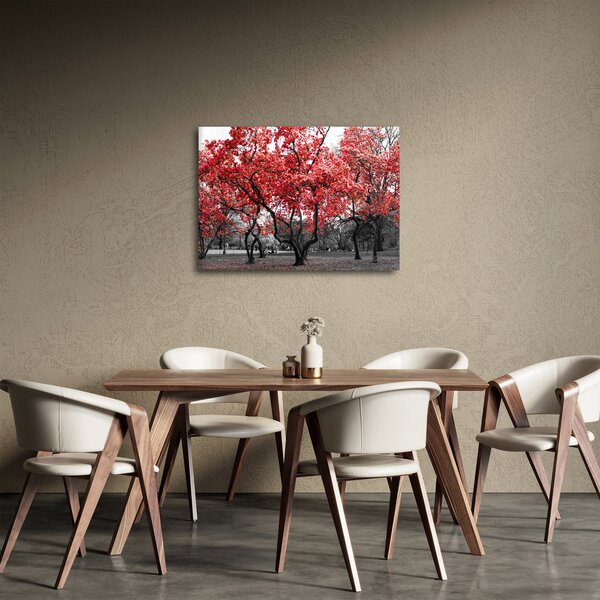 Obraz - Czerwone drzewa, Central Park, New York (70x50 cm)