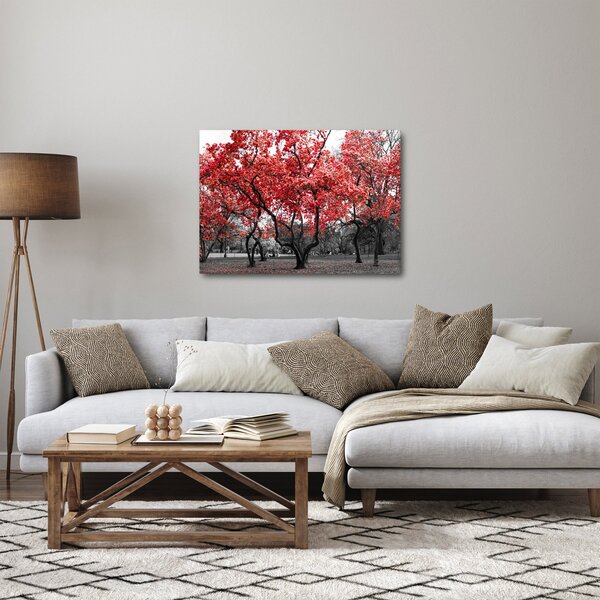 Obraz - Czerwone drzewa, Central Park, New York (70x50 cm)