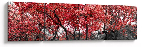 Obraz - Czerwone drzewa, Central Park, New York (170x50 cm)