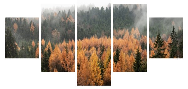 Obraz - Jesienny las (125x70 cm)