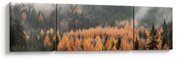 Obraz - Jesienny las (170x50 cm)