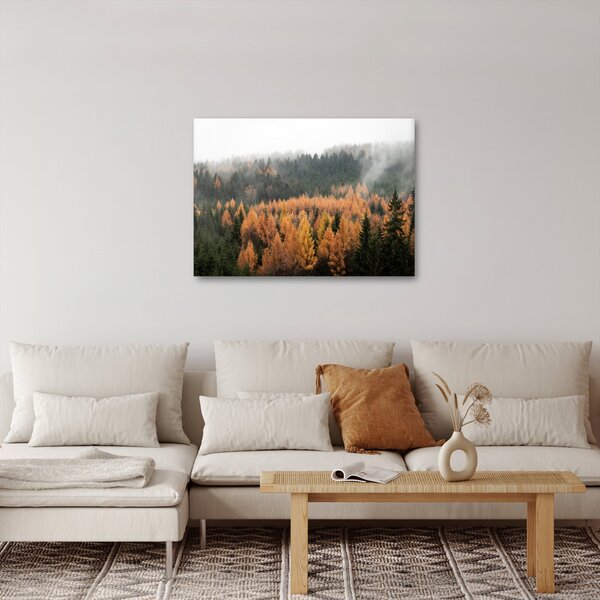 Obraz - Jesienny las (70x50 cm)