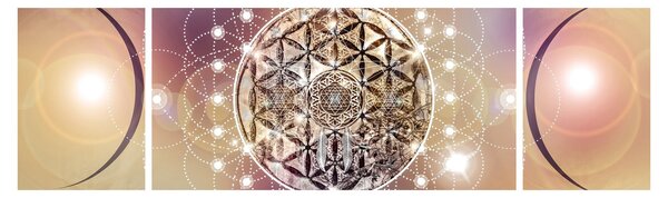 Obraz - Mandala z elementami (170x50 cm)