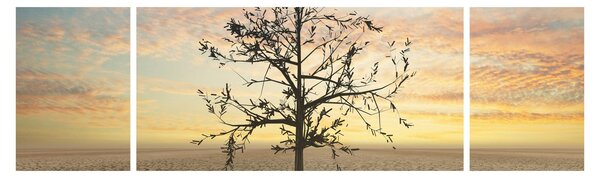 Obraz - Drzewo na pustyni (170x50 cm)