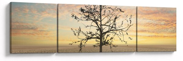 Obraz - Drzewo na pustyni (170x50 cm)