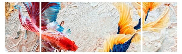 Obraz - Ryby bojowniki (170x50 cm)