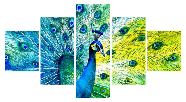 Obraz pawia (125x70 cm)