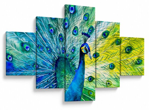 Obraz pawia (125x70 cm)