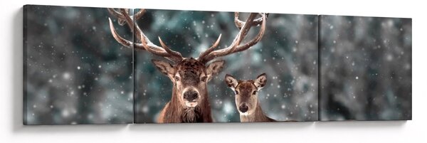 Obraz - Jeleń i łania w zaśnieżonym lesie (170x50 cm)