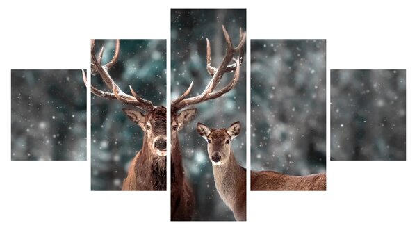 Obraz - Jeleń i łania w zaśnieżonym lesie (125x70 cm)