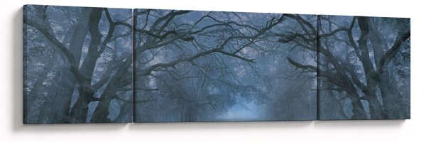 Obraz lasu we mgle (170x50 cm)
