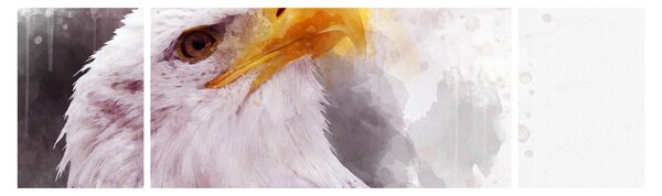 Obraz orła (170x50 cm)
