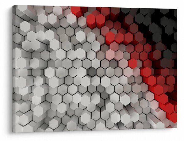 Obraz - sześciokąty 3D (70x50 cm)
