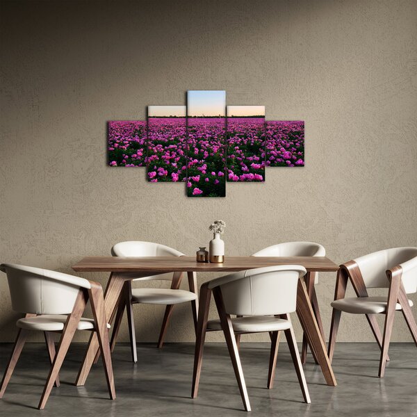Obraz - Łąka fioletowych tulipanów (125x70 cm)