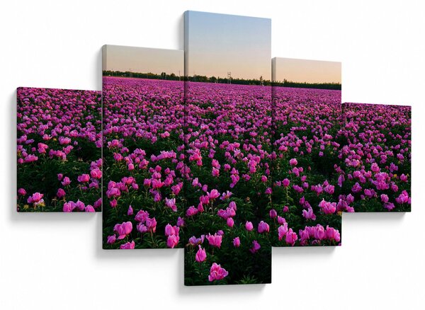 Obraz - Łąka fioletowych tulipanów (125x70 cm)
