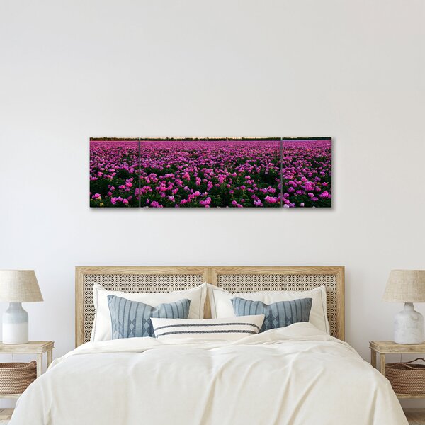 Obraz - Łąka fioletowych tulipanów (170x50 cm)