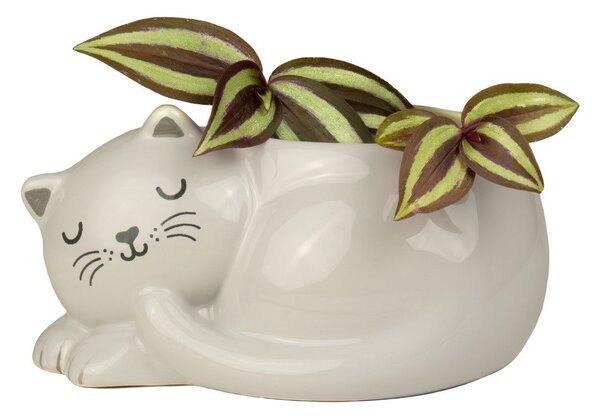 Ceramiczna osłonka na doniczkę Sleeping Cat – Sass & Belle