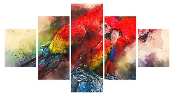 Obraz czerwonych papug Ara (125x70 cm)