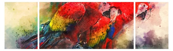 Obraz czerwonych papug Ara (170x50 cm)
