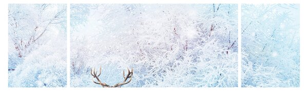 Obraz majestatycznego jelenia (170x50 cm)