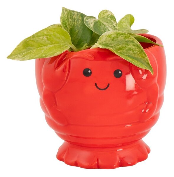 Ceramiczna osłonka na doniczkę ø 10 cm Lobster – Sass & Belle