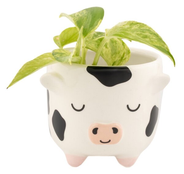 Ceramiczna osłonka na doniczkę ø 7,5 cm Cow – Sass & Belle