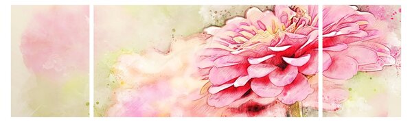 Obraz - Różowy kwiat, akwarela (170x50 cm)