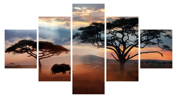 Obraz - Park Narodowy Serengeti, Tanzania, Afryka (125x70 cm)