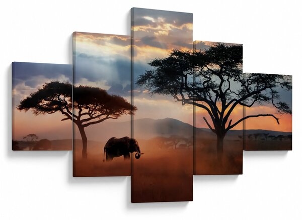 Obraz - Park Narodowy Serengeti, Tanzania, Afryka (125x70 cm)