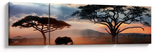 Obraz - Park Narodowy Serengeti, Tanzania, Afryka (170x50 cm)
