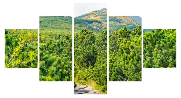 Obraz - Babia Góra, Polska (125x70 cm)