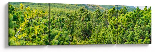 Obraz - Babia Góra, Polska (170x50 cm)