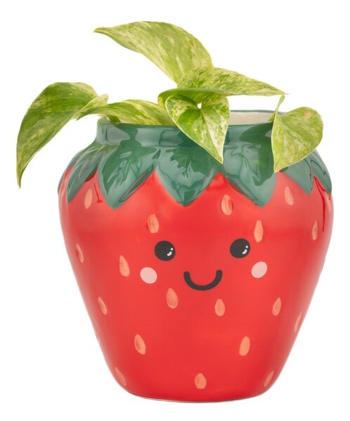 Ceramiczna osłonka na doniczkę ø 10 cm Strawberry – Sass & Belle