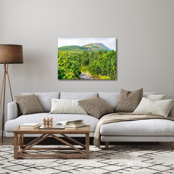 Obraz - Babia Góra, Polska (70x50 cm)
