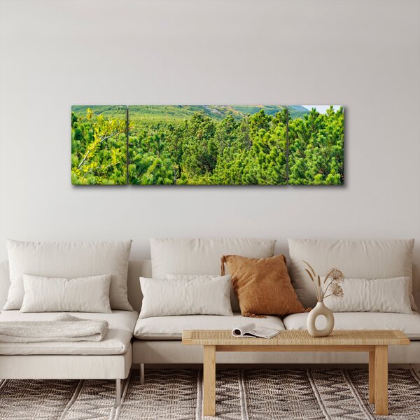 Obraz - Babia Góra, Polska (170x50 cm)