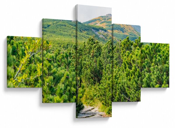 Obraz - Babia Góra, Polska (125x70 cm)