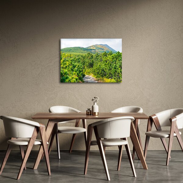 Obraz - Babia Góra, Polska (70x50 cm)
