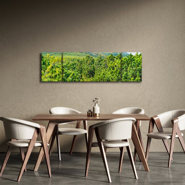 Obraz - Babia Góra, Polska (170x50 cm)