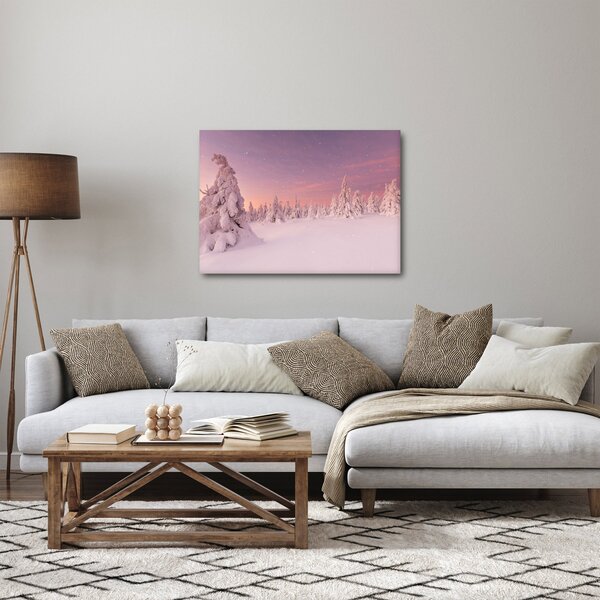 Obraz - Drzewa pod warstwą śniegu (70x50 cm)
