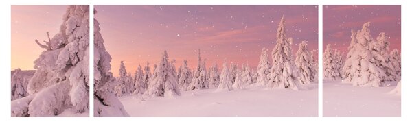 Obraz - Drzewa pod warstwą śniegu (170x50 cm)